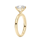 #metal-color_18k-yellow-gold-vermeil
