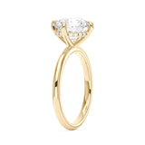 #metal-color_18k-yellow-gold-vermeil